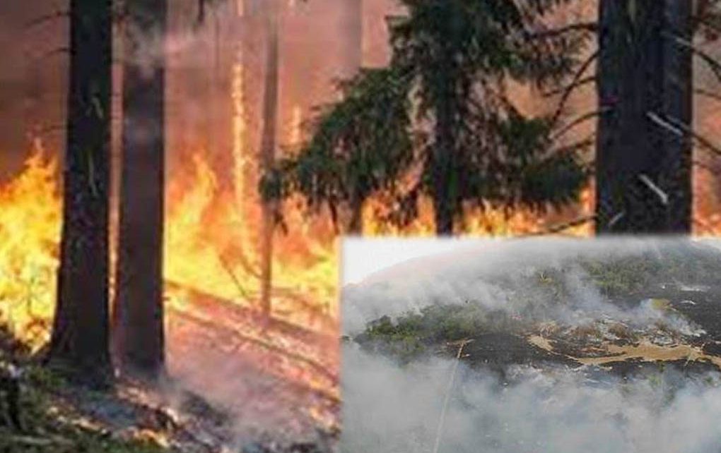 El fuego evangélico quemó el Amazonas