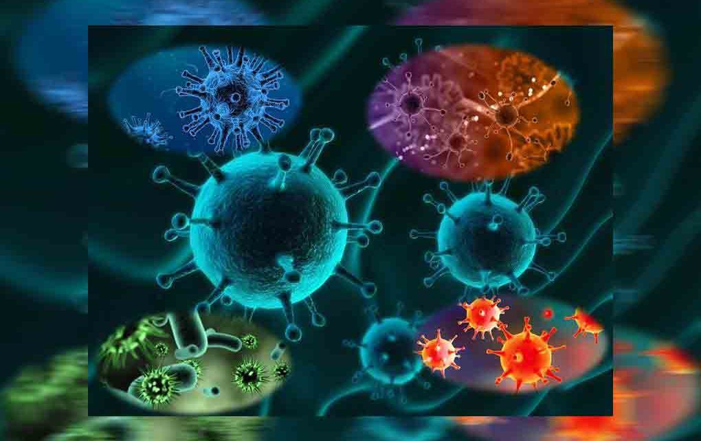 Virus y epidemias